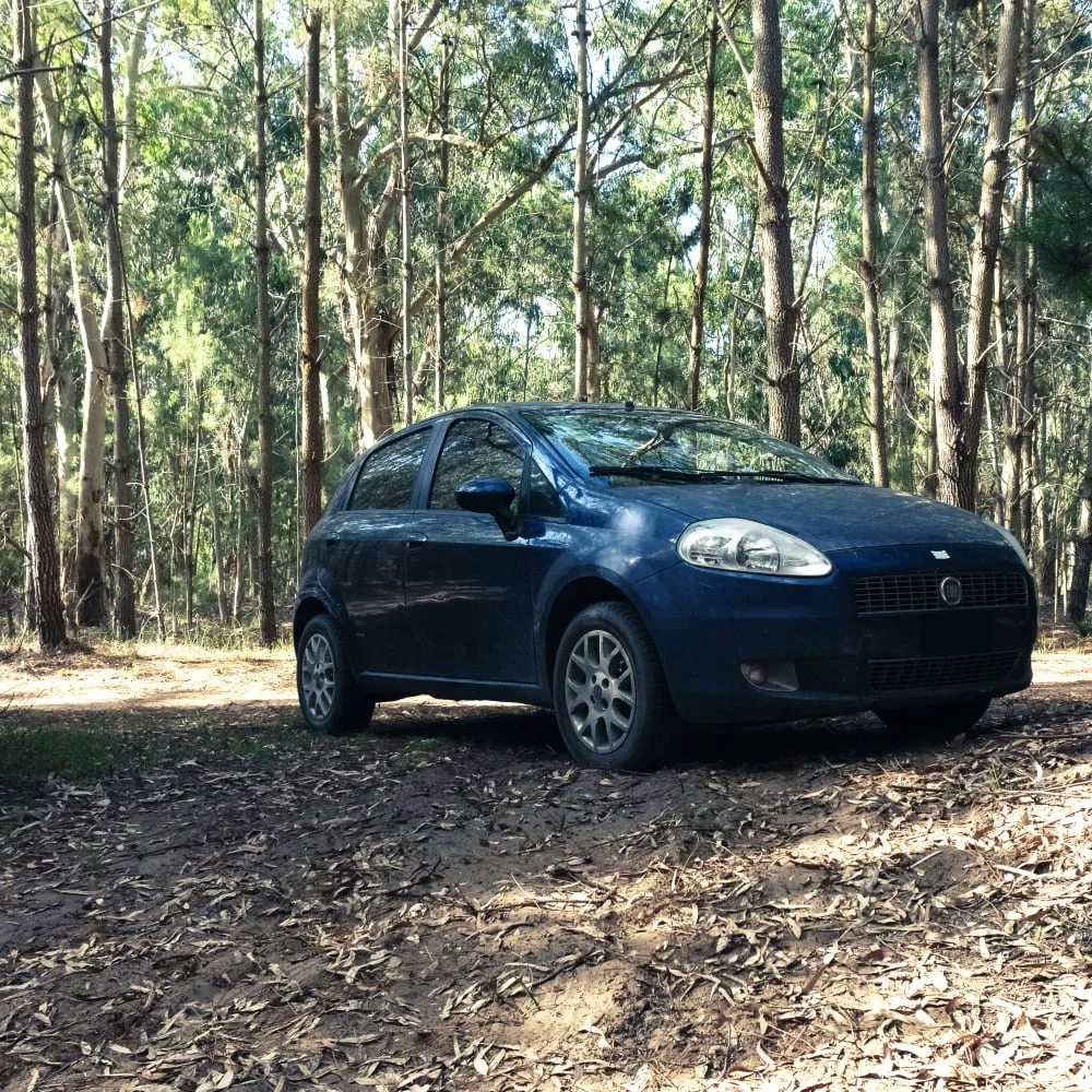 Fiat Repair and Service in Falls Church, VA