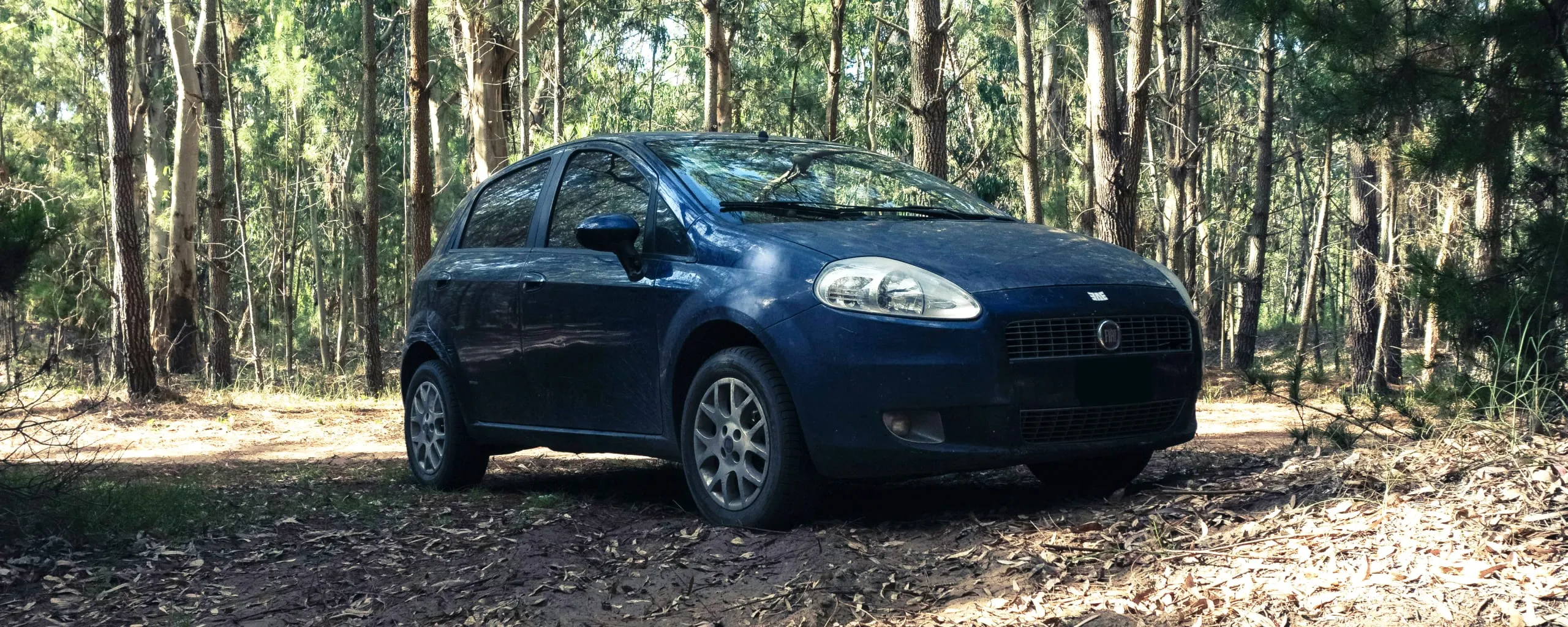 Fiat Repair and Service near Falls Church, VA